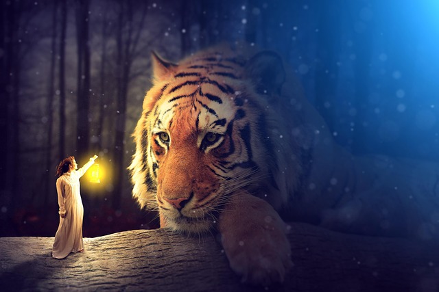 Enchanted Lantern